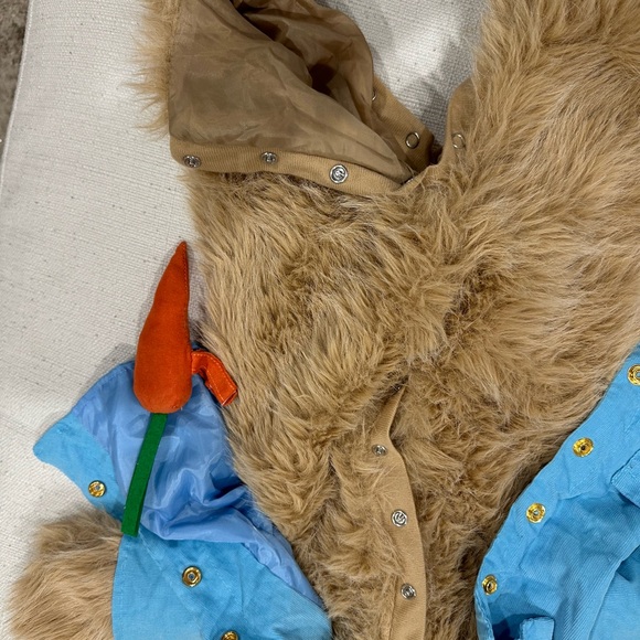 Peter Rabbit costume - Picture 7 of 7